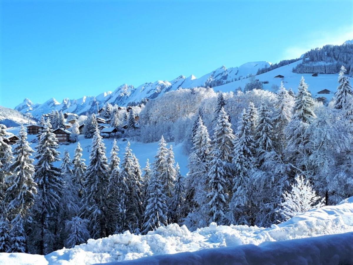Appartement Ski Aux Pieds, 2 Chambres, Terrasse Et Parking Couvert - La Clusaz - Fr-1-459-49 Экстерьер фото
